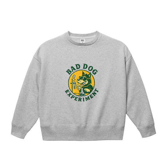 ビッグシルエット クルーネック スウェット（裏起毛） ash image